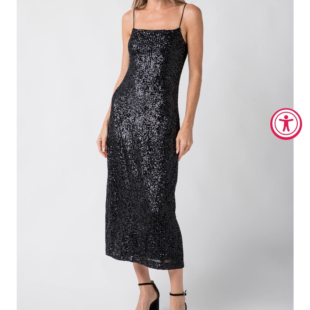 Z supply Paulina Midi Dress